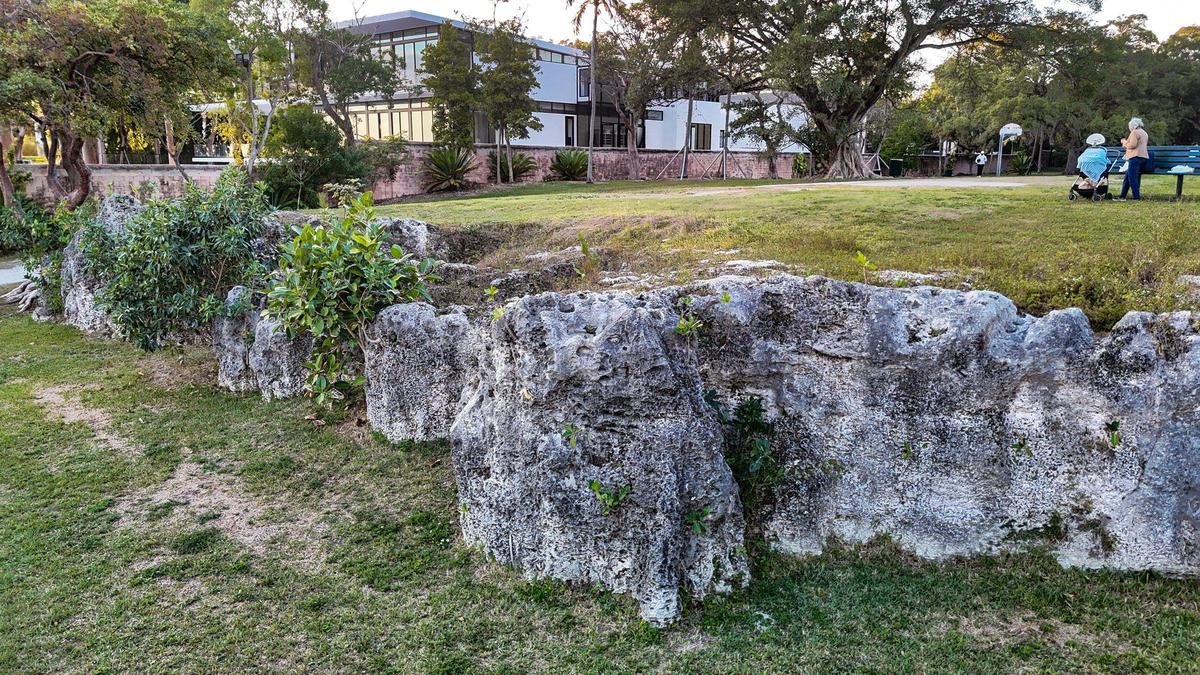 A portion of Silver Bluff, a protected, ancient limestone ridge that runs along the Biscayne Bay shoreline in Miami’s Coconut Grove, can be seen in Alice C. Wainwright Park. At the rear is a new mansion where contractors sliced the top off a 46-foot-long stretch of the bluff during construction.