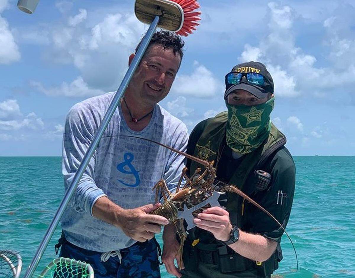 Monroe County Sheriff’s Office deputies, like Middle Keys Deputy Anthony Wales, pictured right, were busy July 30, 2020, checking lobsters during the state’s two-day miniseason event.
