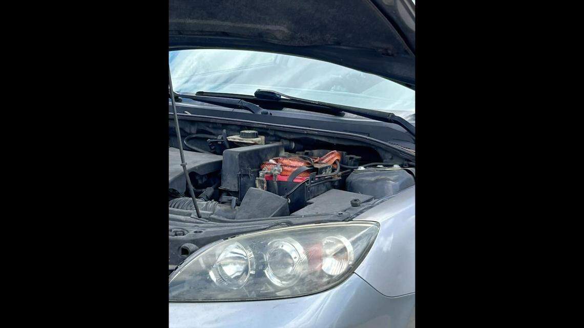 The irritable snake resembled a hose in the engine and it bit the deputy when approached.