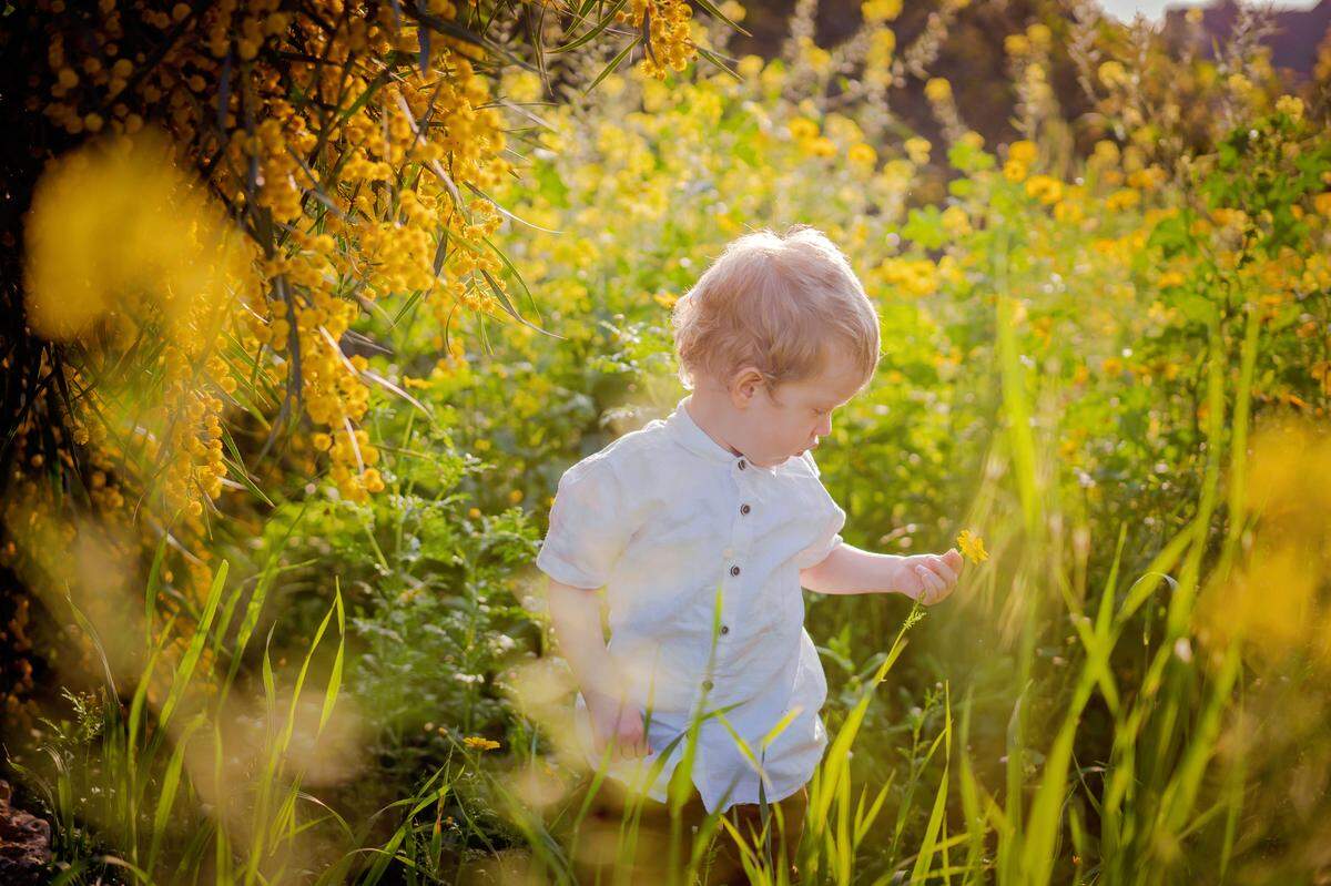 little boy walking through nature