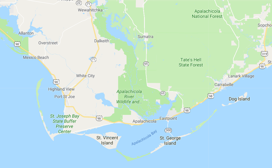 Florida State University researchers examined sand at 10 loggerhead turtle nesting sites on barrier island beaches off the Panhandle and found microplastics in all the samples. Google Maps