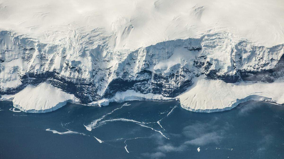 Researchers identified a new species of sea spider near Antarctica’s Ross Shelf, a study said.