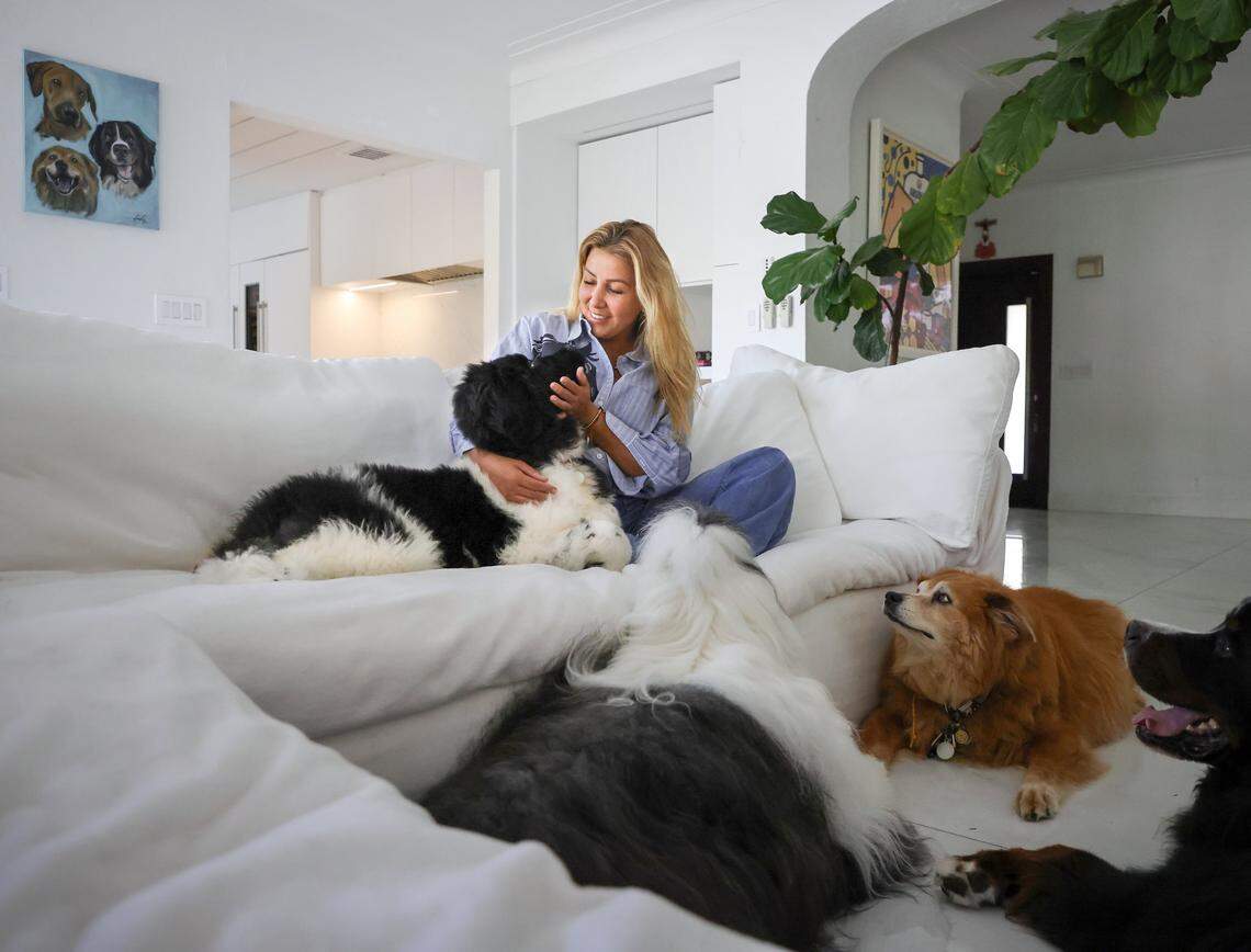 Alexandra Ramos, center, started doing animal therapy with her dogs Ares, a Newfoundland (left); Thor, an English sheep dog (center); and Zeus, a Chow mix (right); and has since introduced Pegasus, a miniature horse, as part of her practice. Ramos enjoys a moment with her pets at her home in Miami on Friday, Aug. 29, 2025. 