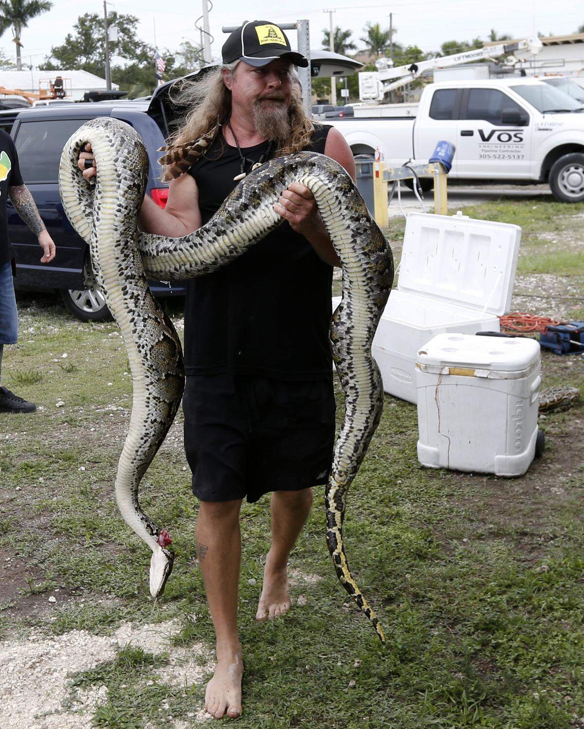Python hunter Dusty Crum carries a python caught in the Florida Everglades before having it weighed and measured in May.