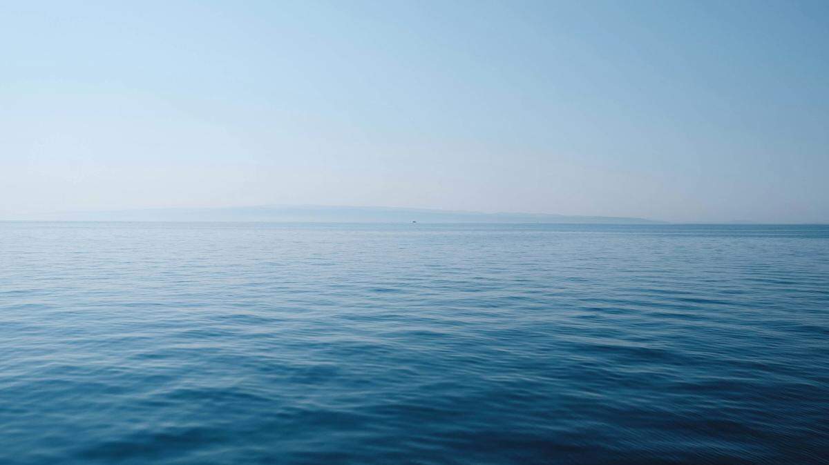 In ocean ports in southeastern Asia, three new species of fish were discovered.