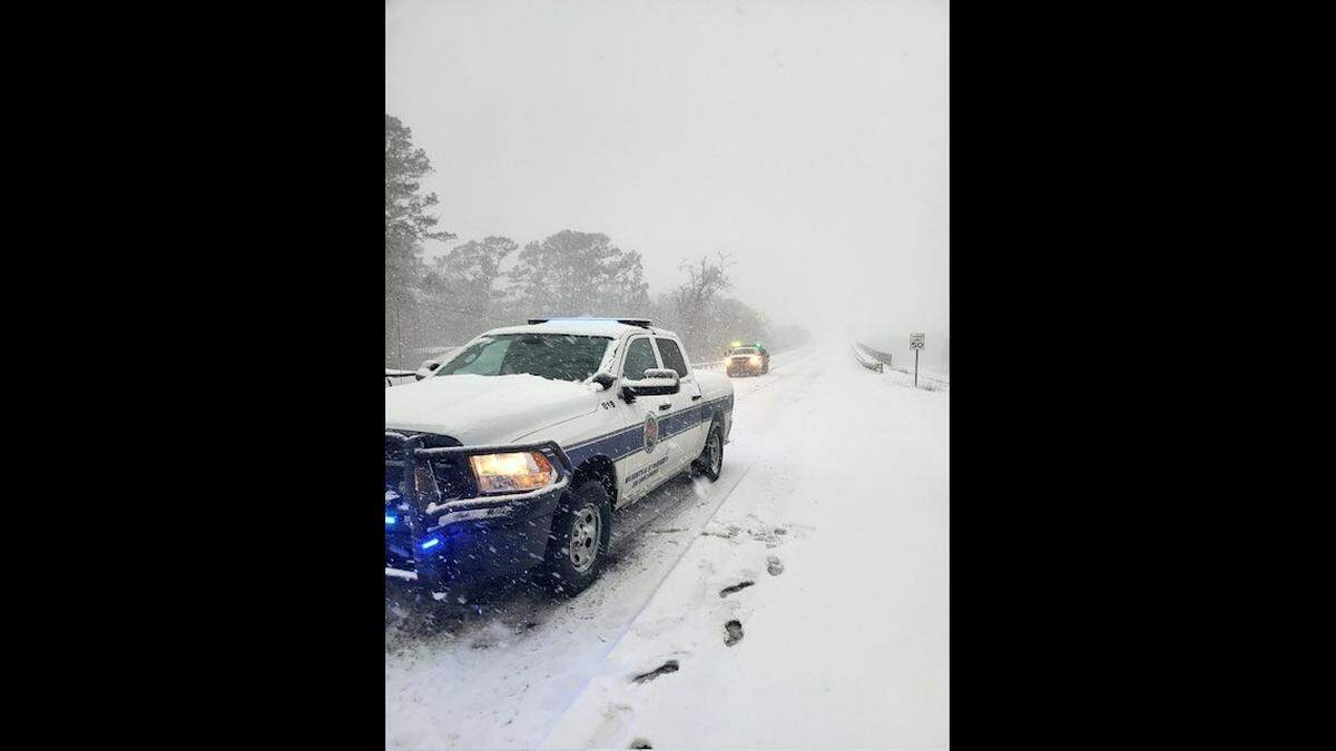 More than 11 inches of snow fell in some parts of Louisiana, forecasters say.