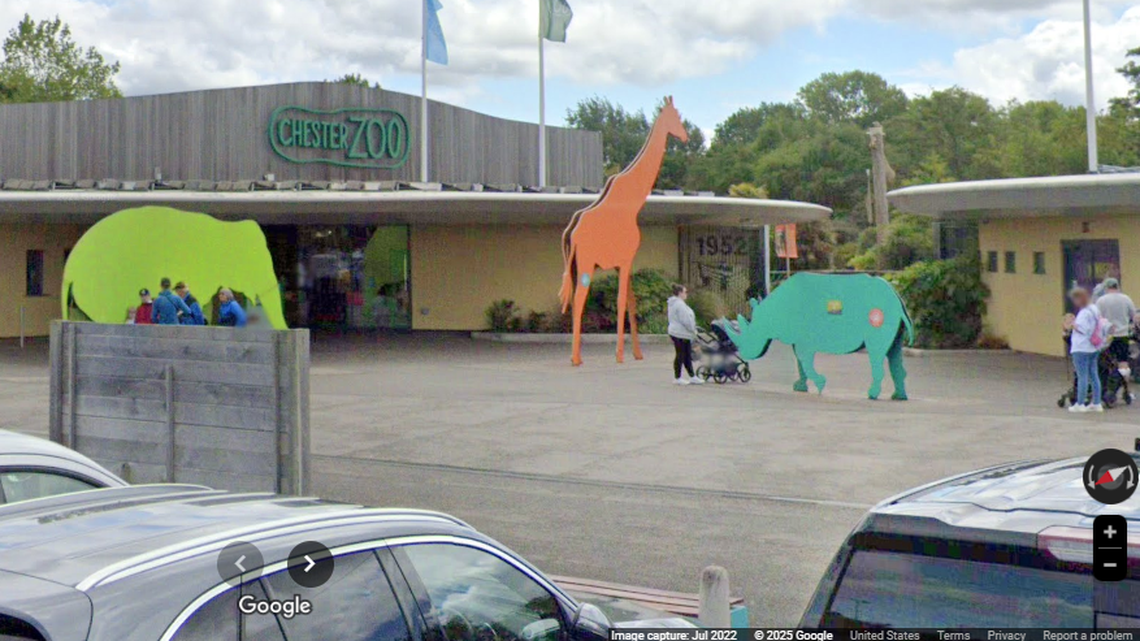 The male predator arrived at Chester Zoo in May and now is a father of four.