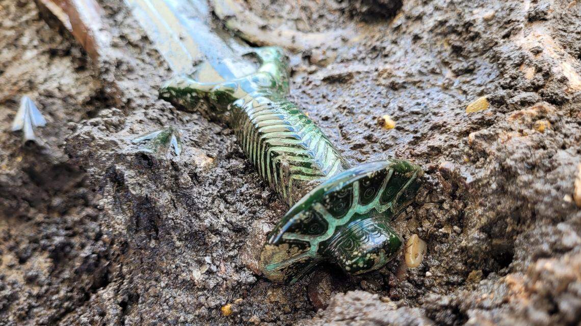 The rare and well-preserved Bronze Age sword still shined when archaeologists unearthed the weapon from a grave in Nördlingen, photos show.
