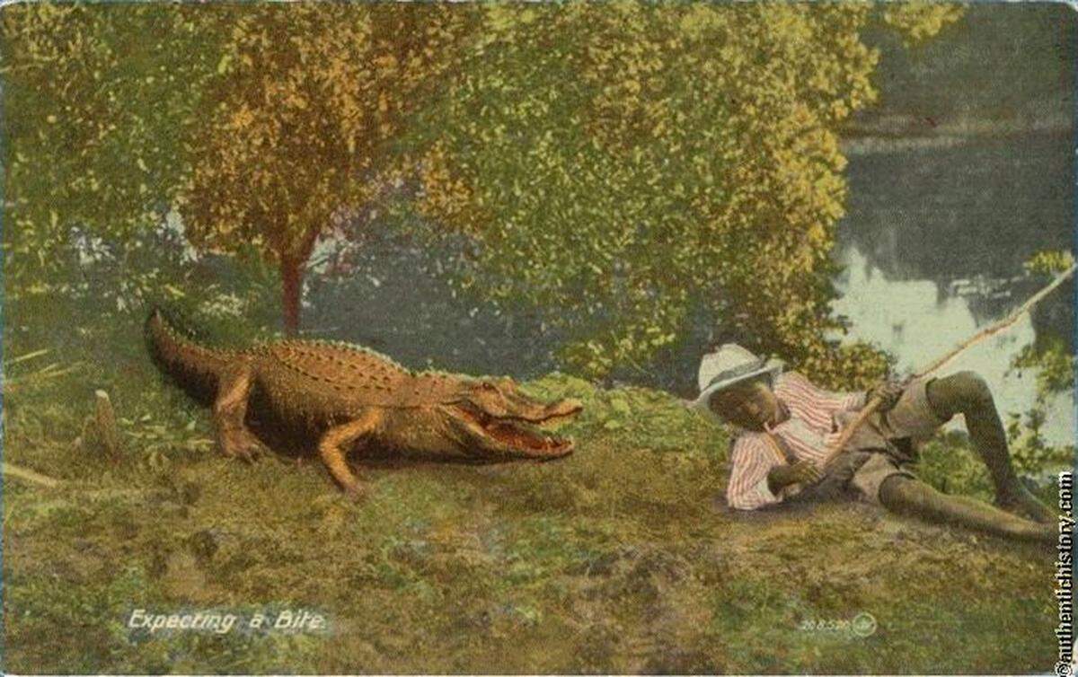 A postcard depicts a Black boy being used as “gator bait” in Florida. The term “gator bait” is a racist trope used since the 19th century to describe Black children used to lure alligators. The term has reentered the national spotlight following comments about alligators potentially eating immigrant detainees at “Alligator Alcatraz,” a detention center in the Florida Everglades.