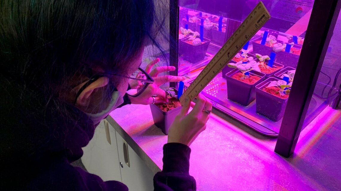 How Miami-Dade students are feeding astronauts. Inside NASA-funded program at Fairchild