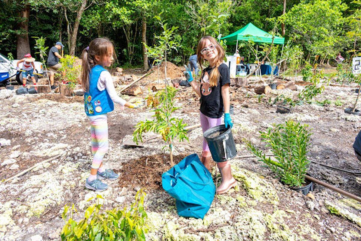 Girls Scouts plant a tree at an October volunteer event.