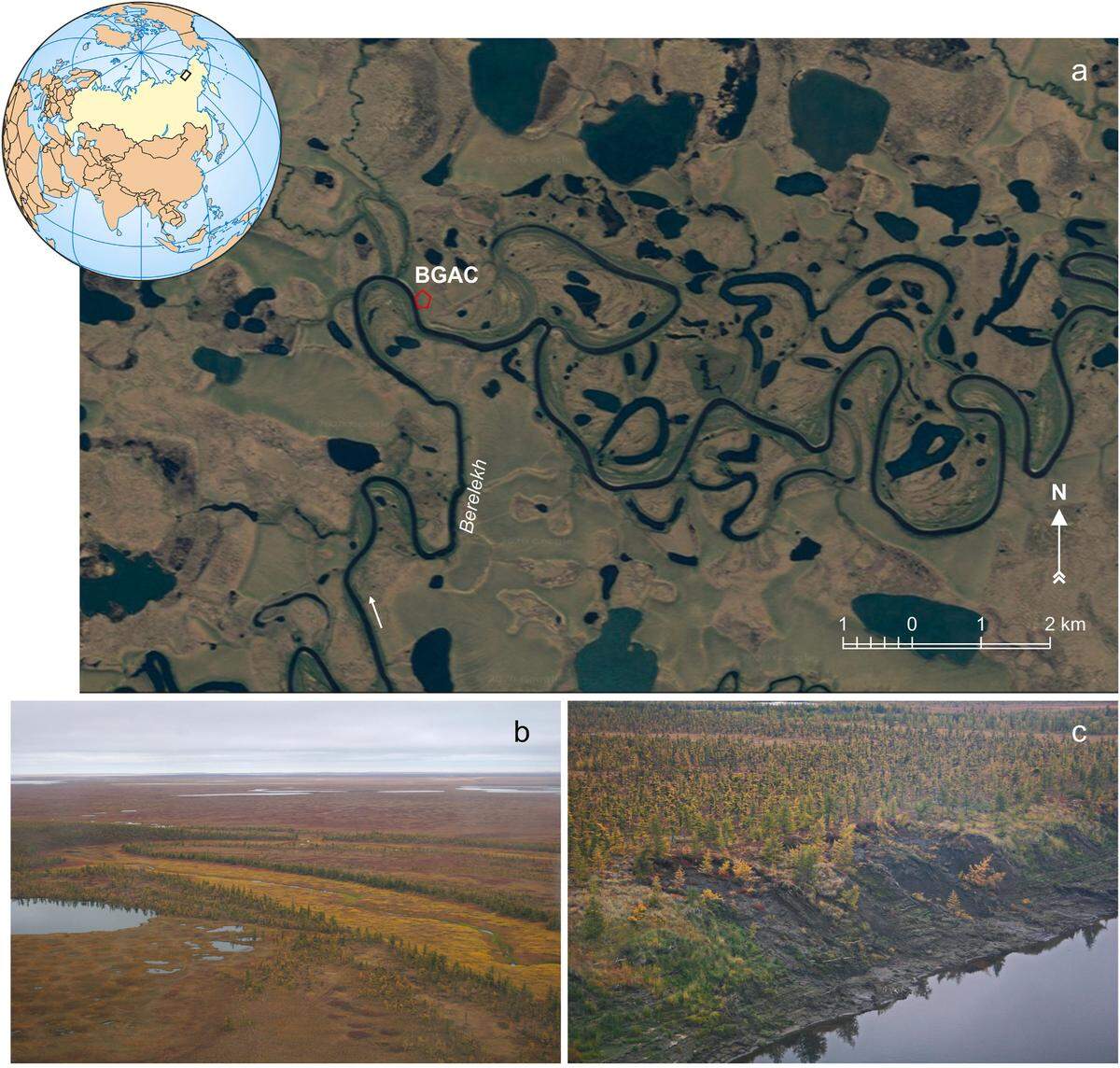 The collection of mammoth bones was found nearly a century ago as the ground thawed along a river in northern Siberia.