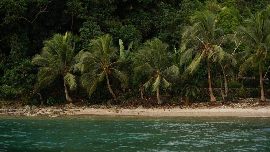 A new species of scorpionfish was discovered in the depths of the Pacific Ocean off Malekula Island in Vanuatu, according to a new study.