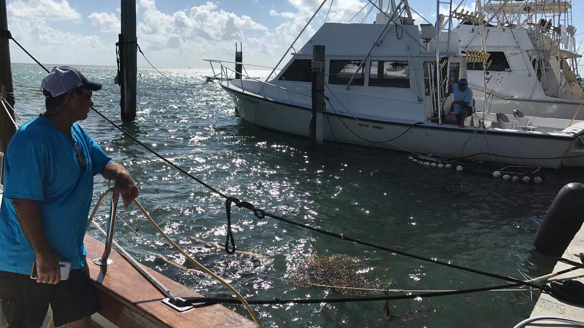 Larry Wren, captain of the First Choice charter fishing boat, speaks with Paul Johnson, captain of the Gold Reserve, at Whale Harbor Marina on Tuesday, Aug. 28, 2018. Both boats were docked at Post Card Inn Beach Resort and Marina before Hurricane Irma destoryed the docks there.