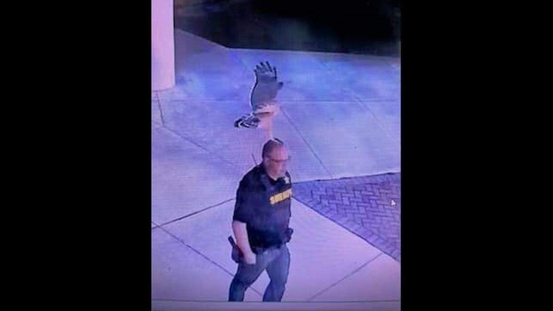 A security camera photo shows an angry hawk attacking a Martin County sheriff’s deputy in Florida. The bird was likely protecting a nearby nest, experts say.