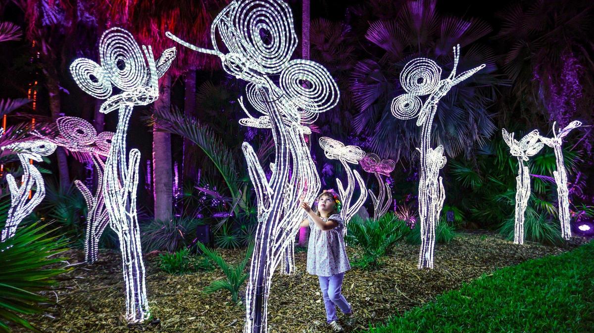 Belén Cariola, de 3 años, viendo las mariposas iluminadas en NightGarden at Fairchild Tropical Botanic Garden.