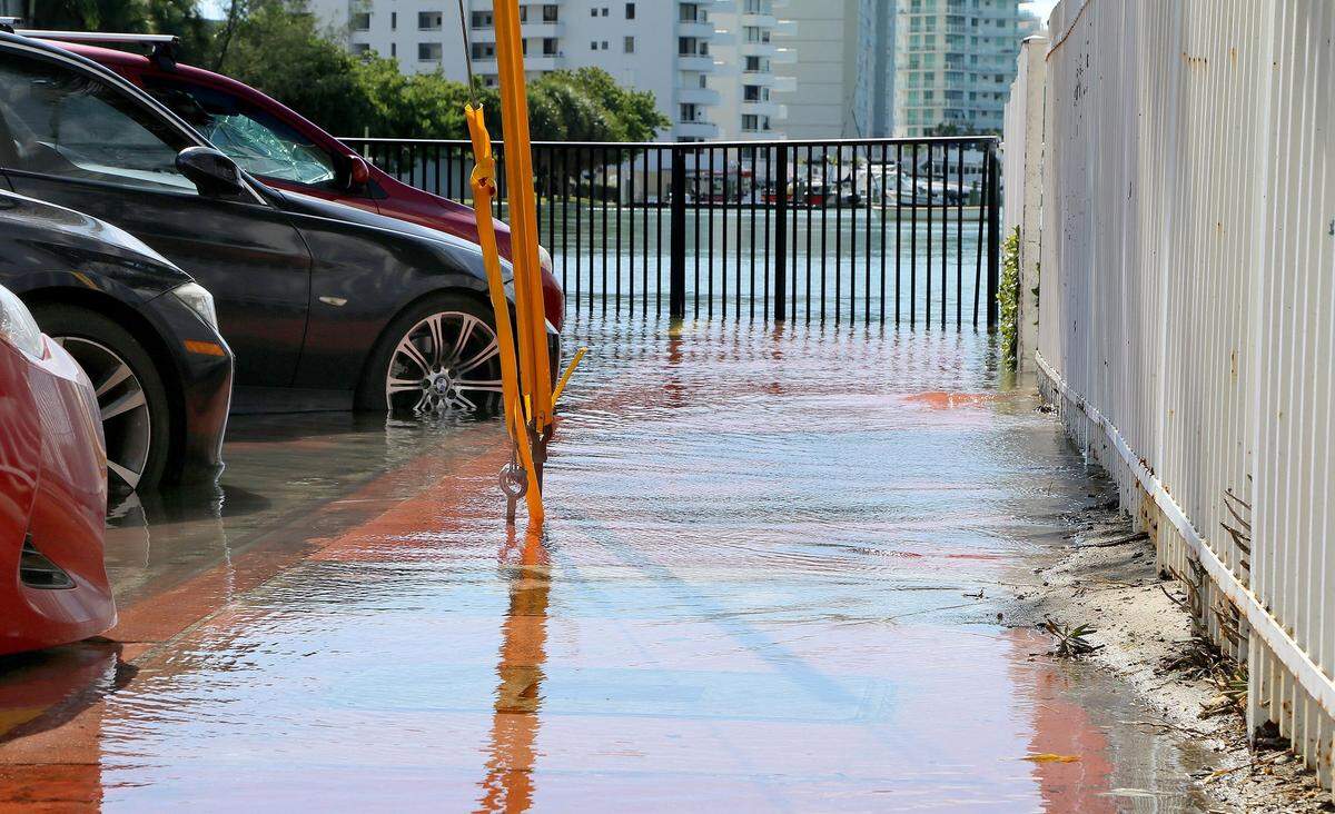 View of the high water level reaching over the seawall in Bonita Drive, at 10: 46 am, Sunday morning, in the Normandy waterway due to the King Tide, the highest tides of the year, which usually occur during September, October and November, in Miami Beach, on Sunday, September 29, 2019.