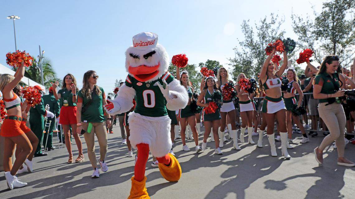 How did the Miami Hurricanes get their mascot? Curious305 looks back at UM’s Sebastian