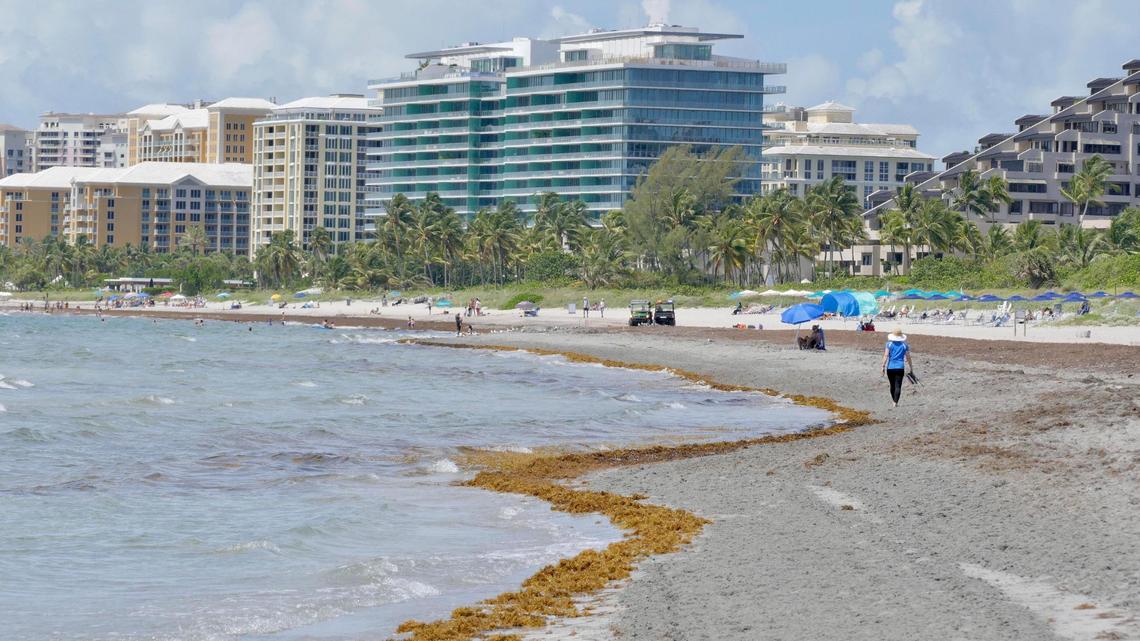 Total home sales increased over 6% from August 2019 to August 2020 ​in Miami-Dade and Broward, according to the Miami Association of Realtors August ​reports. Above: A view looking south from Crandon Park’s southern beach onto Key Biscayne Beach.