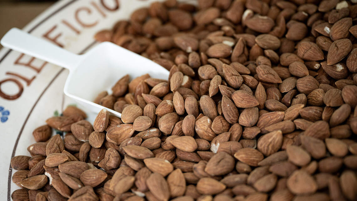 What if the key to leaky gut repair was already hiding in your beans, lentils, nuts and whole grains?