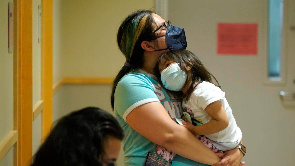 Coronavirus weekly need-to-know: COVID-sniffing dogs, updated booster, llama blood & more