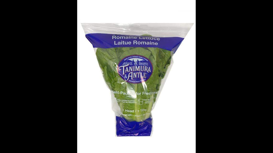 Tanimura & Antle Romaine Lettuce