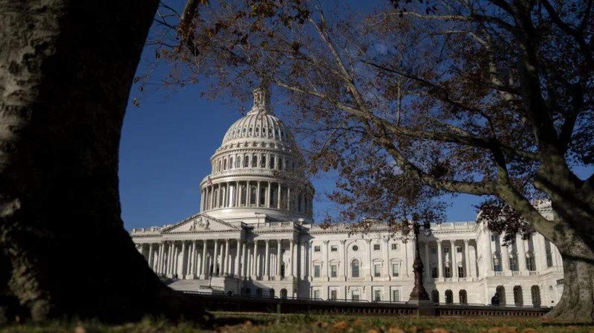 Columnist says that, regardless of what is happening in Washington, Americans should get involved in their local communities to bring about change.