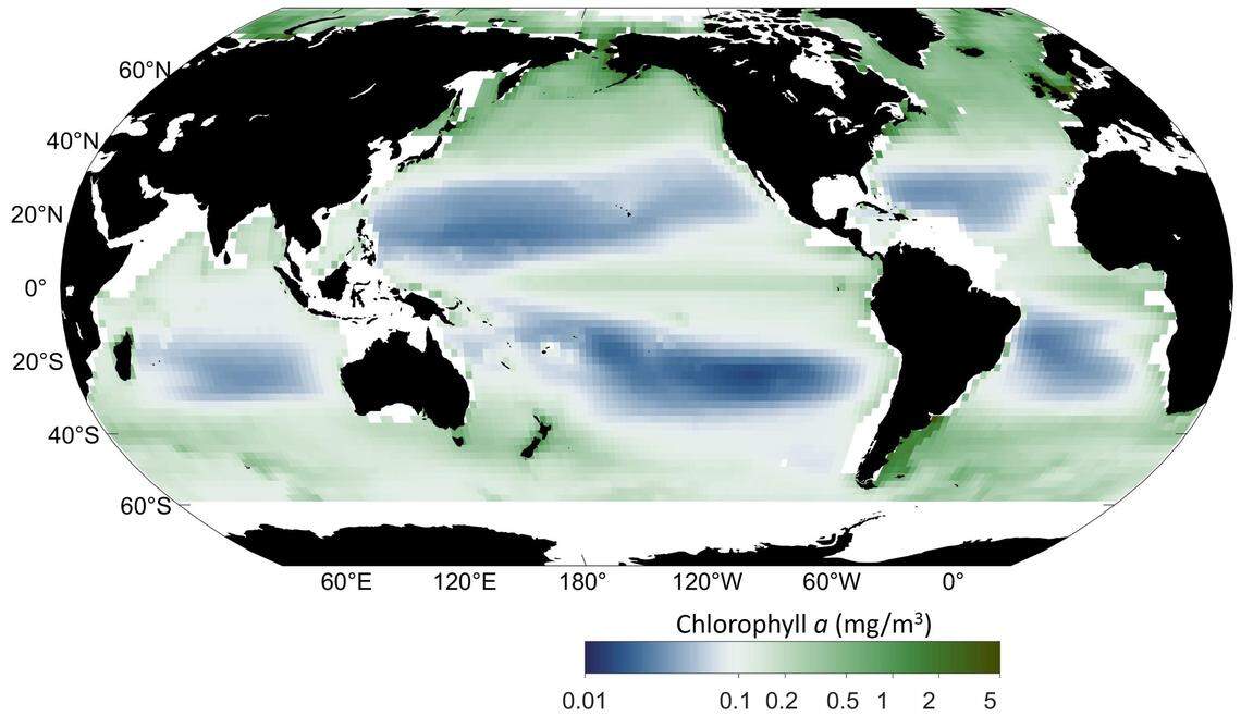 A graphic showing how concentrations of chlorophyll have shifted in different parts of the globe, leading to “bluer blues” near the equator and “greener greens” near the poles.