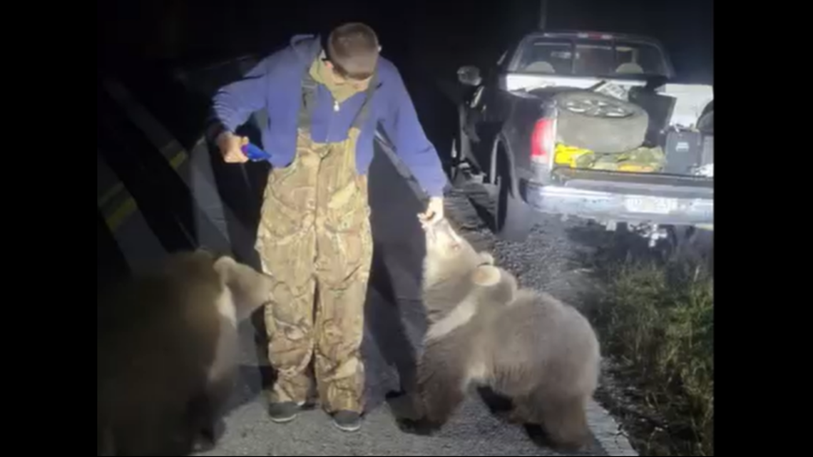 A man driving along Old River Road in Okaloosa County encountered the two unusual looking cubs and stopped to call the sheriff’s office, video shows.