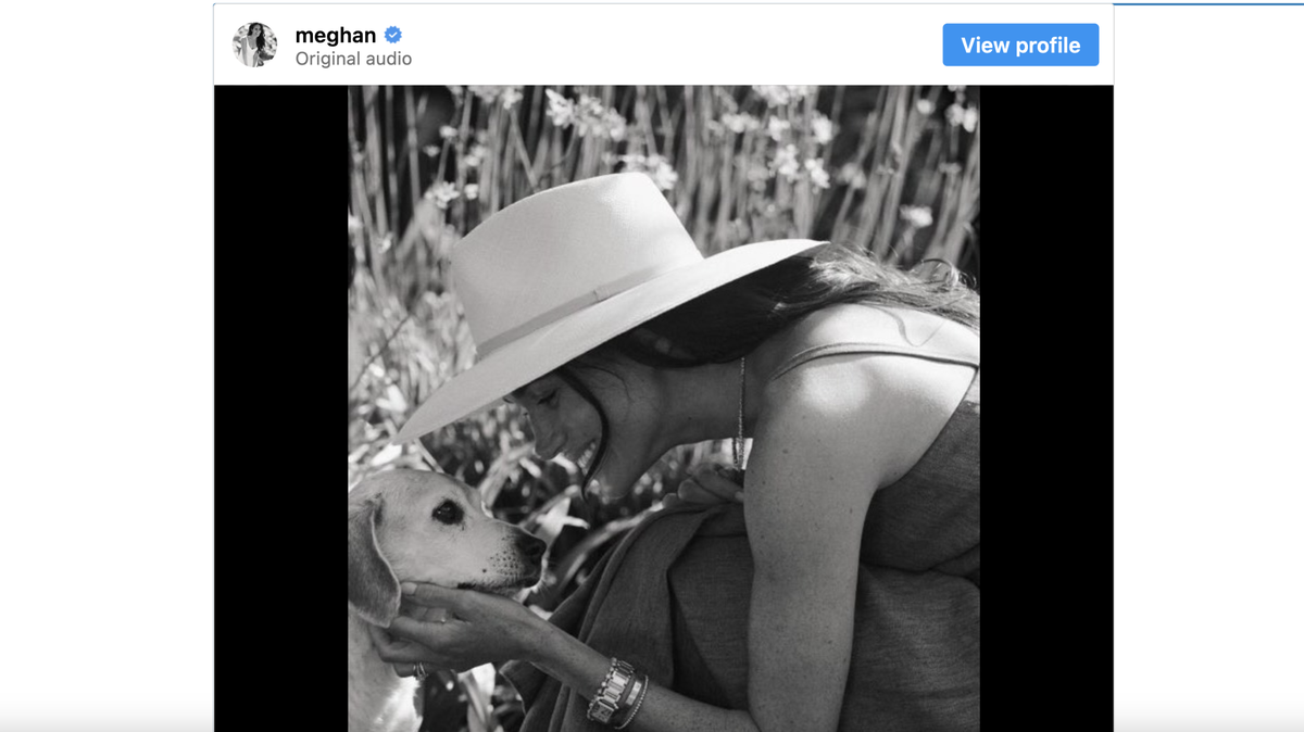 Meghan Markle says goodbye to her beloved rescue dog, Guy.