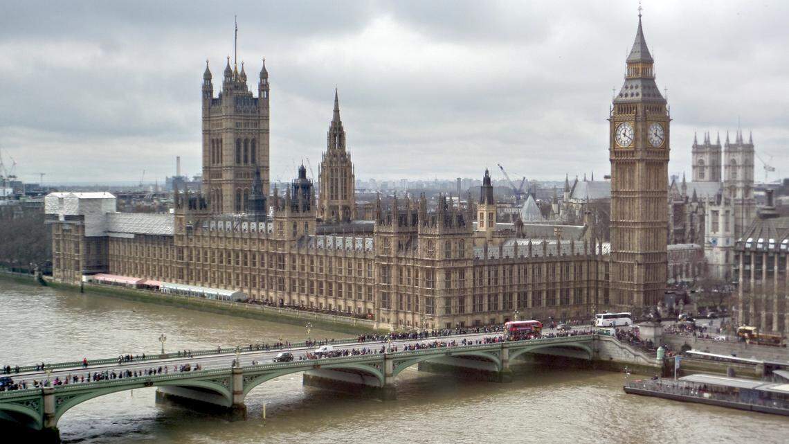 Archaeologists excavating the Palace of Westminster in London found a 200-year-old fish, photos show.