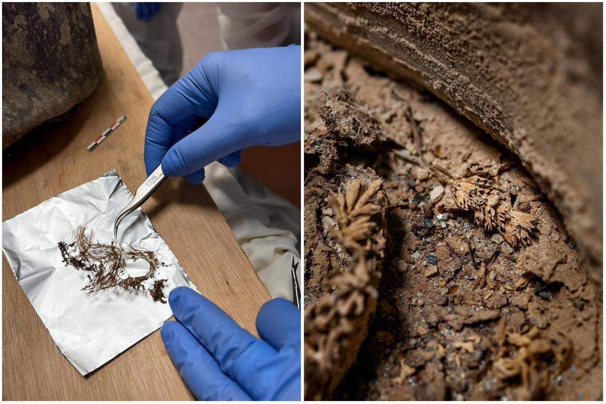 Left: Hair from the known coffin. Right: Flowers from the unknown coffin.