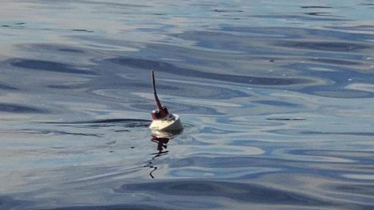 This buoy has been seen moving in Florida’s Kissimmee River, leading some to assume it may be attached to an alligator, the Okeechobee County Sheriff’s Office says.
