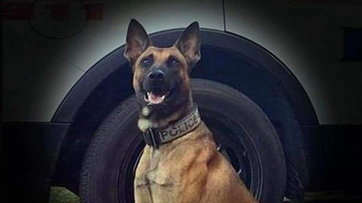 Lake Wales police K-9 Max was shot and killed in the line of duty in August 2022.