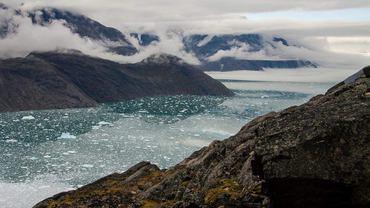 In the ancient rock formations of Greenland, the tiny tooth of a never-before-seen species was discovered.