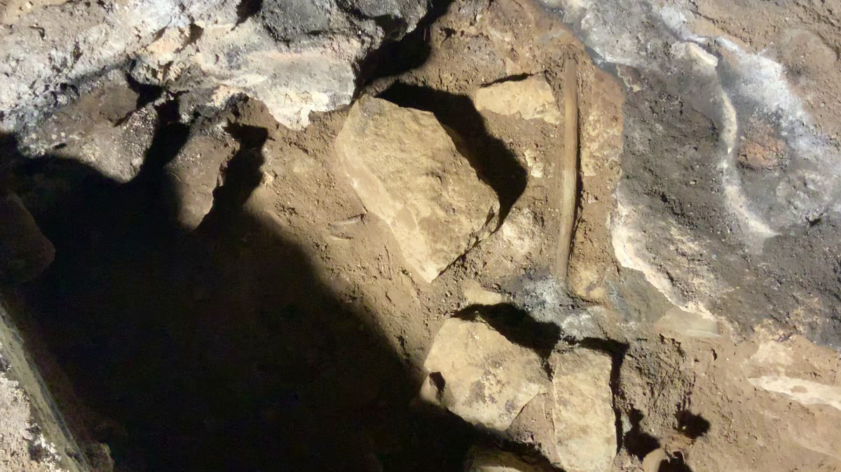 A stick rubbed in fat 12,000 years ago revealed a ritualistic practice used for 500 generations in Australia.