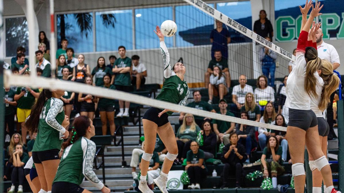 Pine Crest Panthers’ outside hitter Mia Gold (14) strikes the ball during a regional semifinal playoff volleyball match against Cardinal Gibbons at Pine Crest School campus in Fort Lauderdale, Florida, on Thursday, October 26, 2023.
