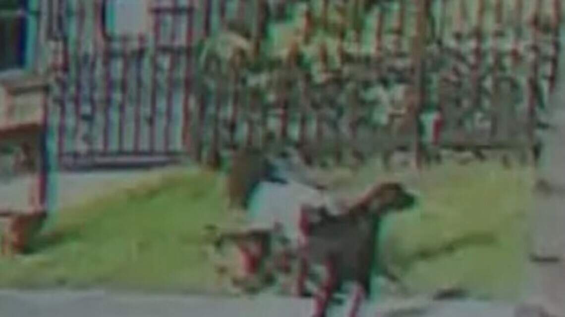 Woman continues to heal from Biscayne Gardens dog attack, boyfriend says
