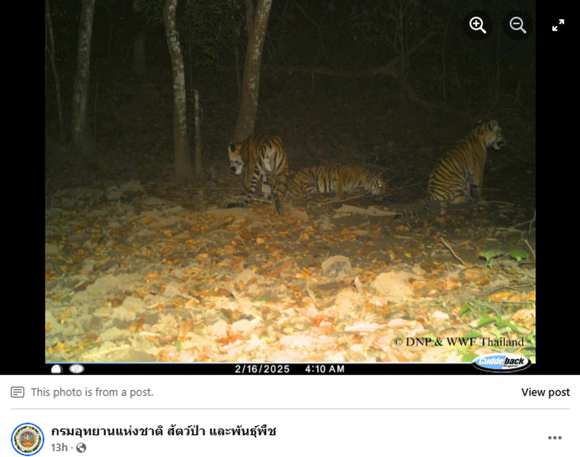 The mother, F22, was first spotted in 2022 and then not seen for years, officials said.