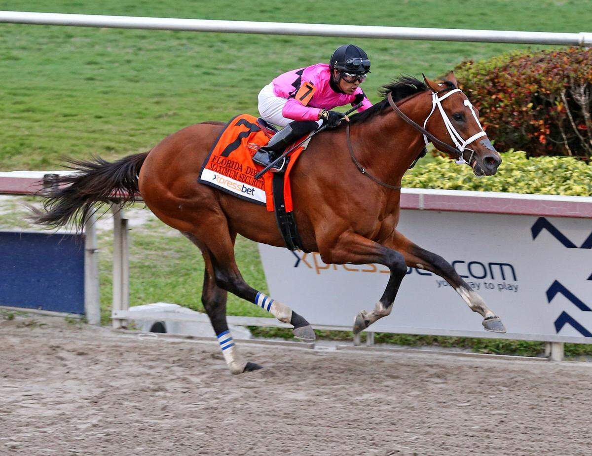 Jockey Luis Saez rides Maximum Security (7) to the finish line to win the Florida Derby at Gulfstream Park in Hallandale Beach, Florida, on Saturday, March 30, 2019.