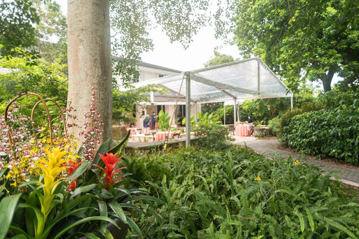 Fairchild Tropical Botanic Garden is hosting a Halloween version of its monthly dining series. Expect a full moon, social distancing and a menu full of ingredients from The Fairchild Farm.
