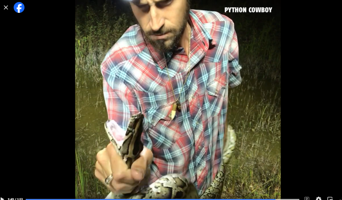 The python qualified as small. The longest documented in Florida is 19 feet, according to the Conservancy of Southwest Florida.