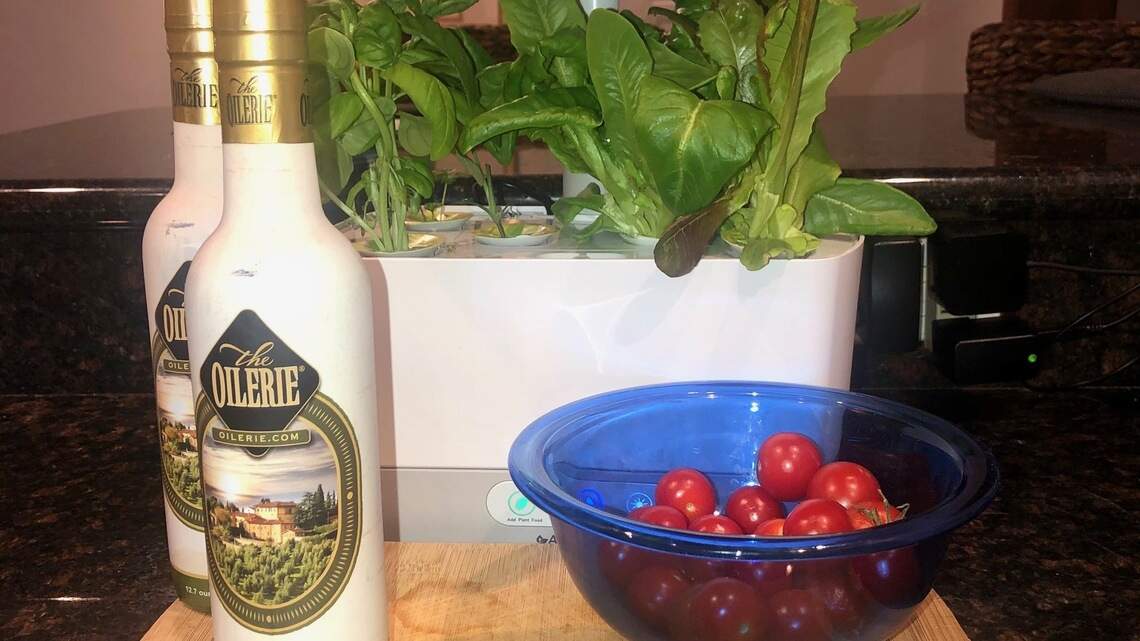 Sheah Rarback Hydroponic system in the kitchen grows beautiful lettuce | Miami Herald