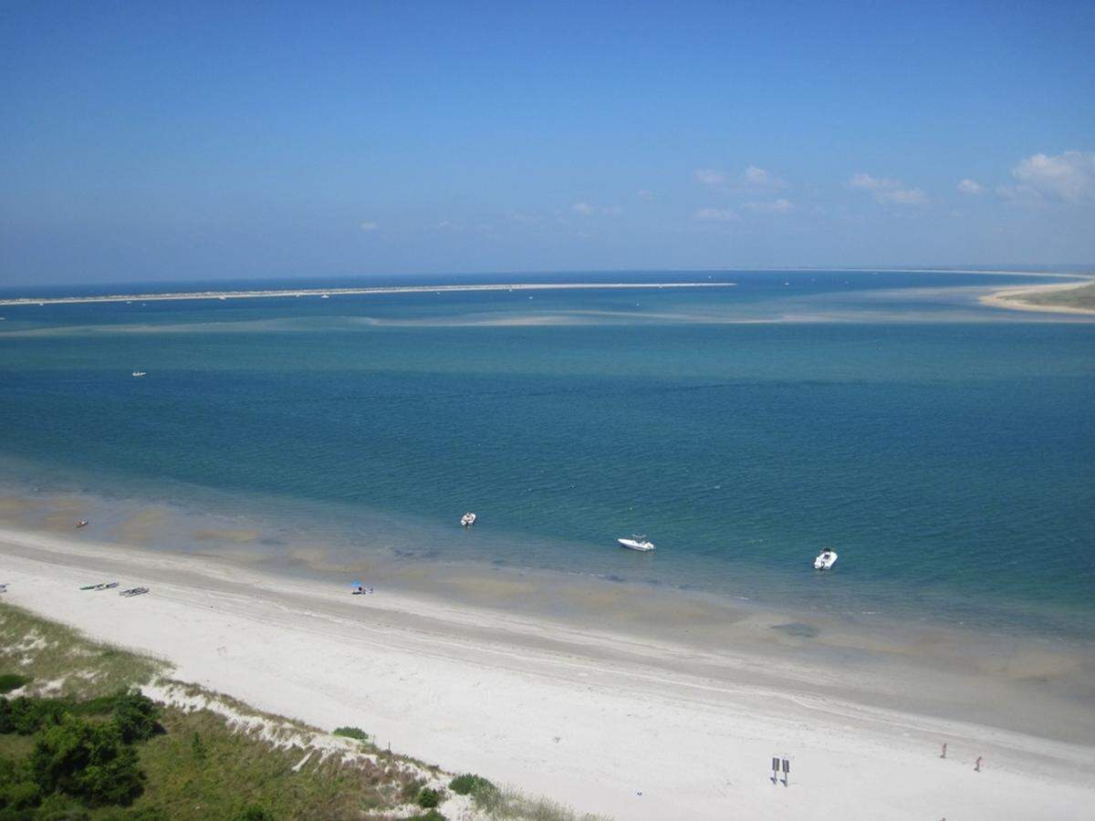 Vibrio are usually found in salt water along the North Carolina coast.
