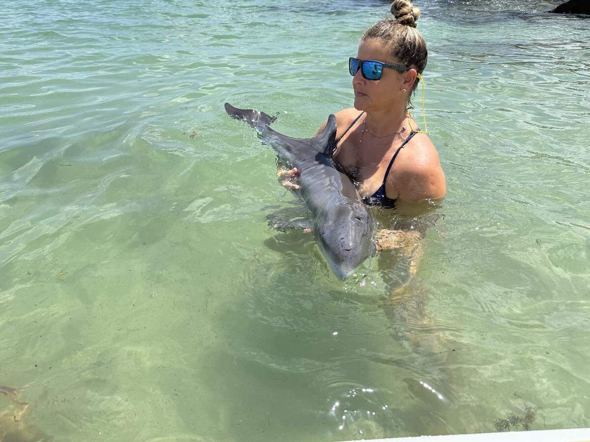 Officials are hopeful an injured baby dolphin will recover after possibly getting hit by a vessel, according to Miami-Dade Fire Rescue.