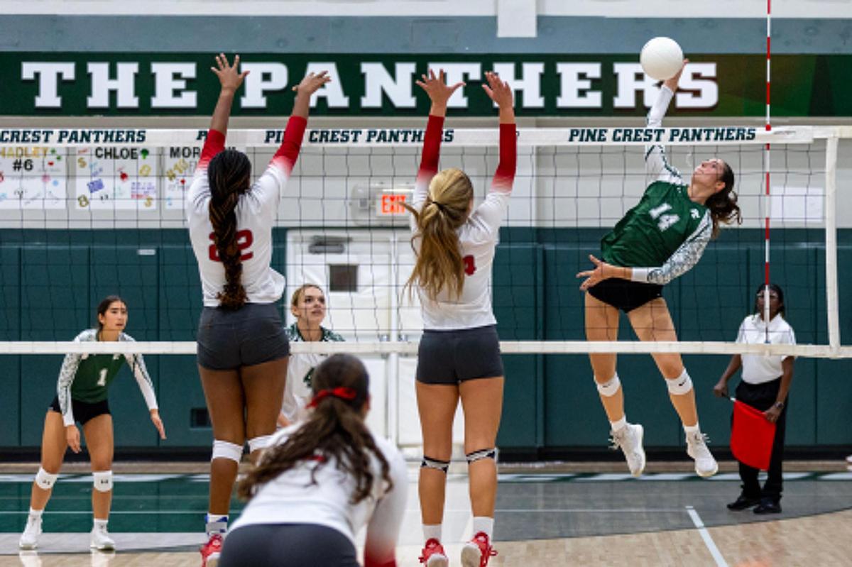 Pine Crest Panthers’ outside hitter Mia Gold (14) strikes the ball during a regional semifinal playoff volleyball match against Cardinal Gibbons at Pine Crest School campus in Fort Lauderdale, Florida, on Thursday, October 26, 2023.
