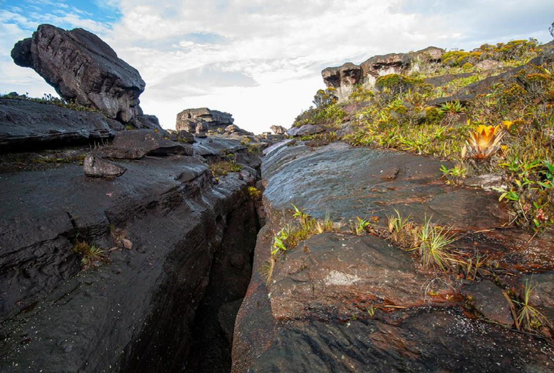 A rocky crevice at the summit of Murisipán-tepui.