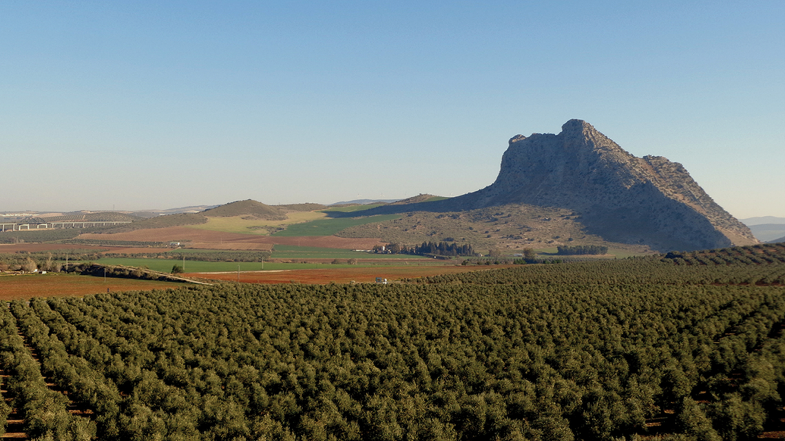 Archaeologists at Antequera, a megalithic stone monument site, found a 5,000-year-old tomb with bones, ceramics, photos show & study said.