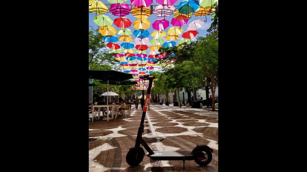 Coral Gables is re-introducing dockless scooters. It’s the first city in Florida to permit them on city streets.