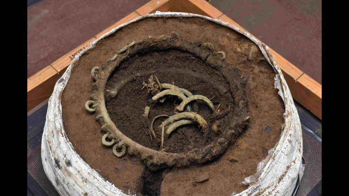 A 3,000-year-old bronze hoard was found in Scotland ahead of a housing development project.